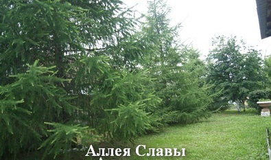 Экскурсия по центру