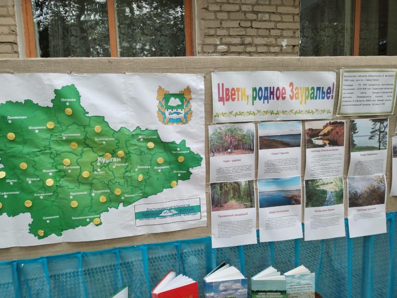 РОМАШКА ИЗ ЛАДОШЕК