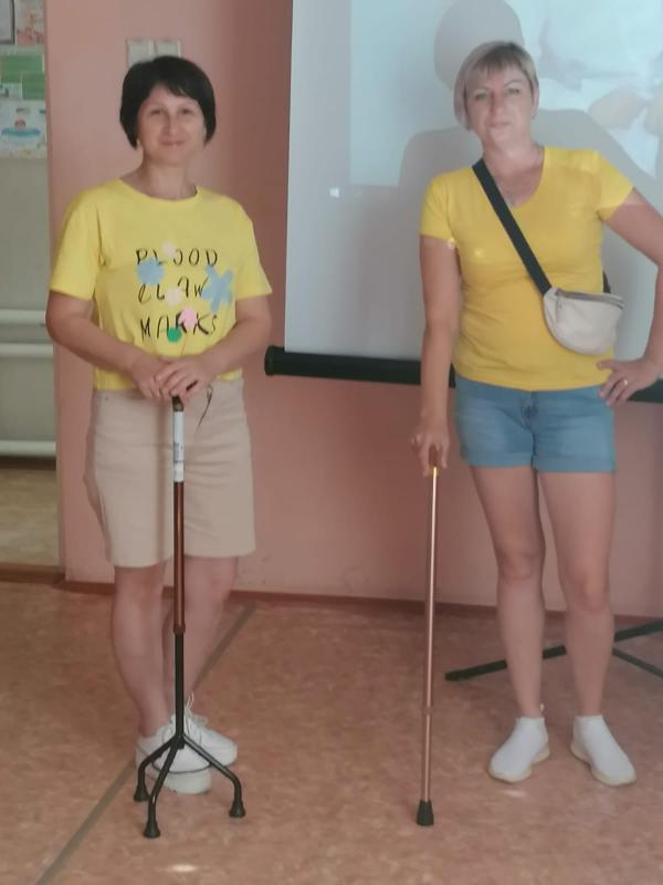 ИСПОЛЬЗОВАНИЕ ТЕХНИЧЕСКИХ СРЕДСТВ РЕАБИЛИТАЦИИ ДЛЯ ГРАЖДАН ПОЖИЛОГО ВОЗРАСТА, ИМЕЮЩИХ ГРУППУ ИНВАЛИДНОСТИ