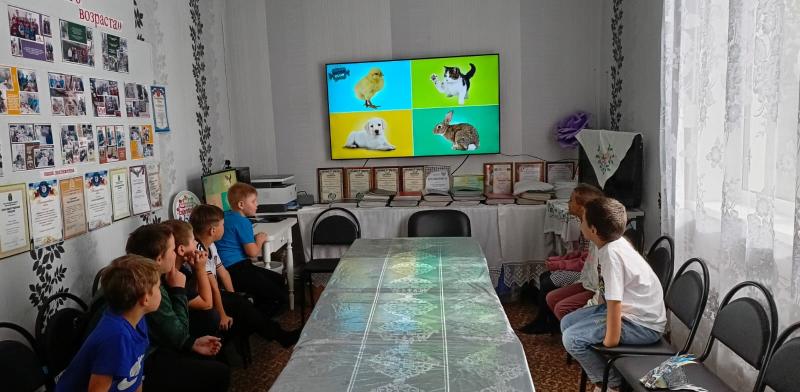 ЛЮБИМЫЕ ДОМАШНИЕ ЖИВОТНЫЕ