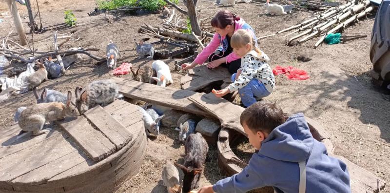 ЭКСКУРСИЯ ПО ЛИЧНОМУ ПОДВОРЬЮ